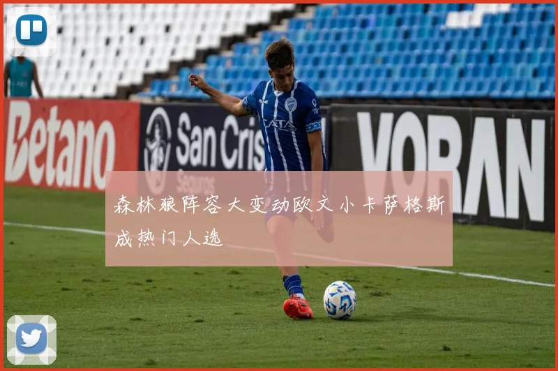 森林狼阵容大变动欧文小卡萨格斯成热门人选